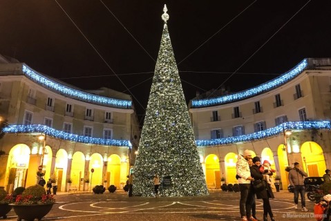 Il bellissimo albero di Natale di Caserta illumina la piazza